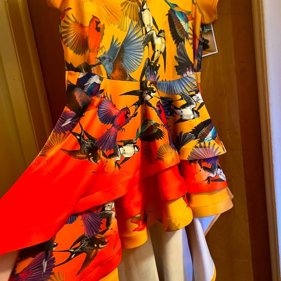 Gorgeous Hi/Low form fitting top , brings summertime vibes !!! - Picture 1 of 3